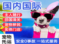 蓬莱机场物流国际宠物托运 【国